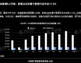 2020在线教育重现资本