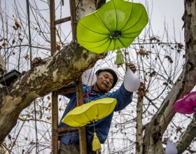  浙江仙居：张灯结彩迎新年