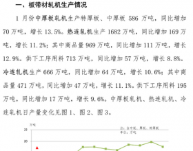 2021年1月份重点统计