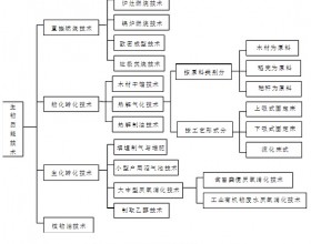 国内外生物质能发展综