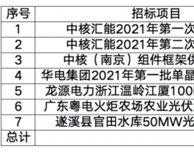 大尺寸组件招标占比超