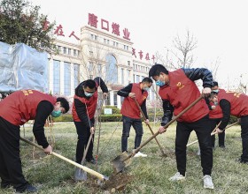 集团公司各单位阳春三