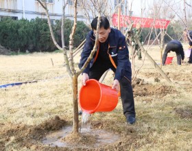 龙矿龙发热电：种下“