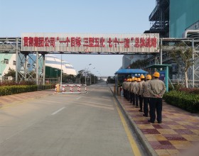 福建鸿山发电公司颜紫