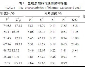 生物质直接燃烧技术的