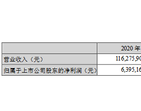  华菱钢铁2020年营业收入同比增8.55%