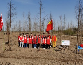 华润南京化工园热电青