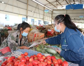 新疆兵团一师电力阿拉