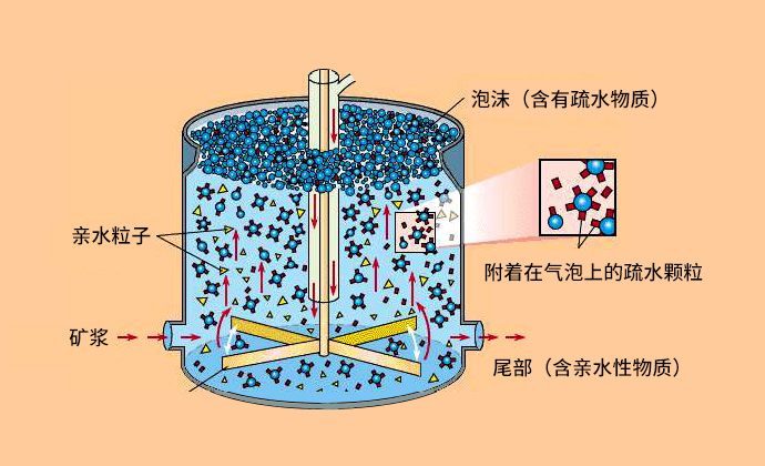 浮选分离池的示意图