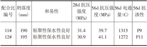  掺石屑石粉混凝土的性能