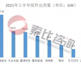 2021年光伏上半年财报