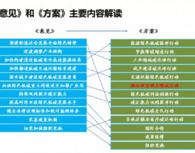 双碳“1＋N”政策体系