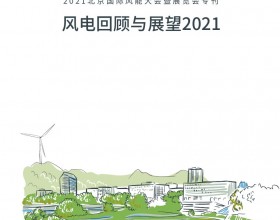  干货 | 《风电回顾与展望2021》发布！
