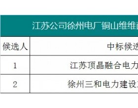 4.82元/瓦，国家能源