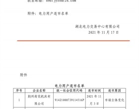  湖北公示2021年11月电力用户退市名单 共7家电力用户申请