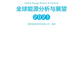  《全球能源分析与展望2021》正式发布