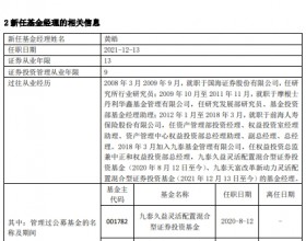 九泰天富改革增聘基金