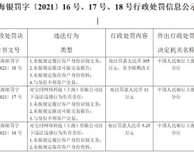 宝付4宗违法被罚305万