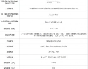 青岛威尔德新材料被罚