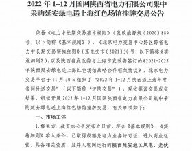 2022年1-12月国网陕西