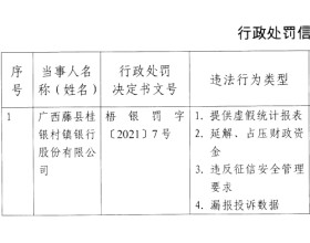 广西藤县桂银村镇银行