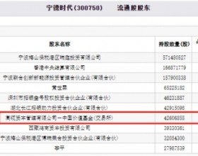 宁德时代跌7.28% 高瓴