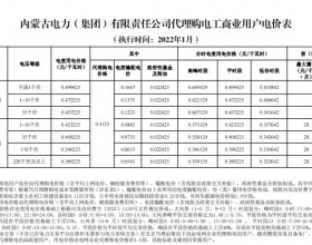 内蒙古电力2022年1月