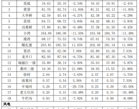 华能澜沧江水电2021年