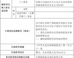 国寿财险香格里拉4宗