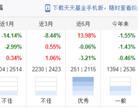 申万菱信竞争优势去年