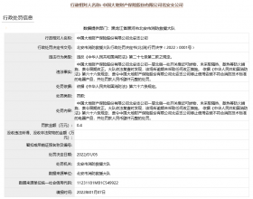 大地财险北安违法被罚