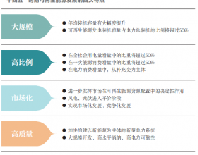 十问中国能源|共担新