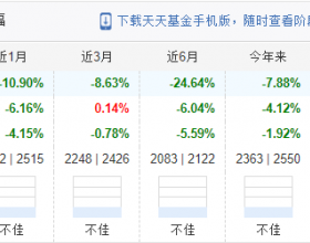 2021年混基跌幅冠军方