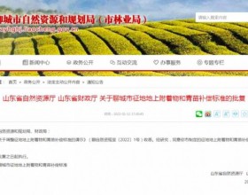 山东聊城：光伏发电拆