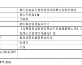 嘉实创业板ETF增聘基