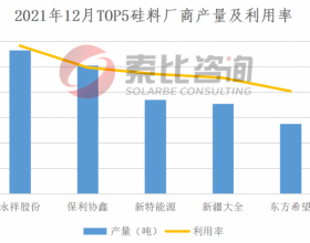 12月产能产量报告：硅