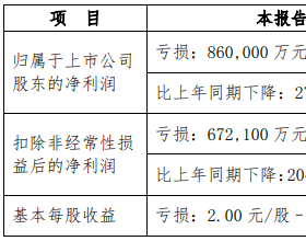 新希望股价强势仅跌1%