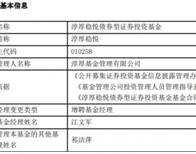 淳厚稳悦债券增聘基金