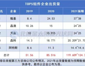 Top5出货量破120GW！2