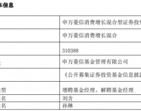 申万菱信孙琳离任2只