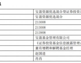 宝盈基金肖肖辞职并离