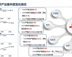 PPT|王勃华：预计2022