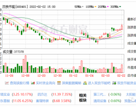 双良节能、高测股份20