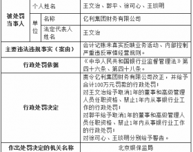 亿利集团财务公司被罚