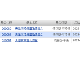 2月份债基跌幅冠军：