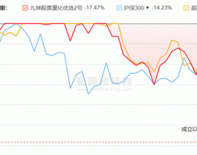 量化私募九坤投资53只