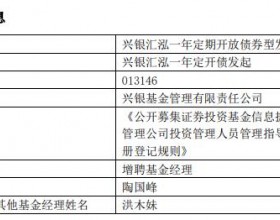 兴银汇泓一年定开债增