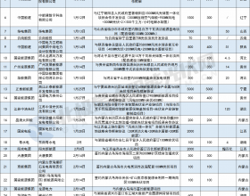 63家企业抢签310GW新