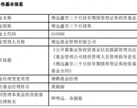 博远鑫享三个月债券增