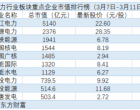 电力板块TOP10八成个